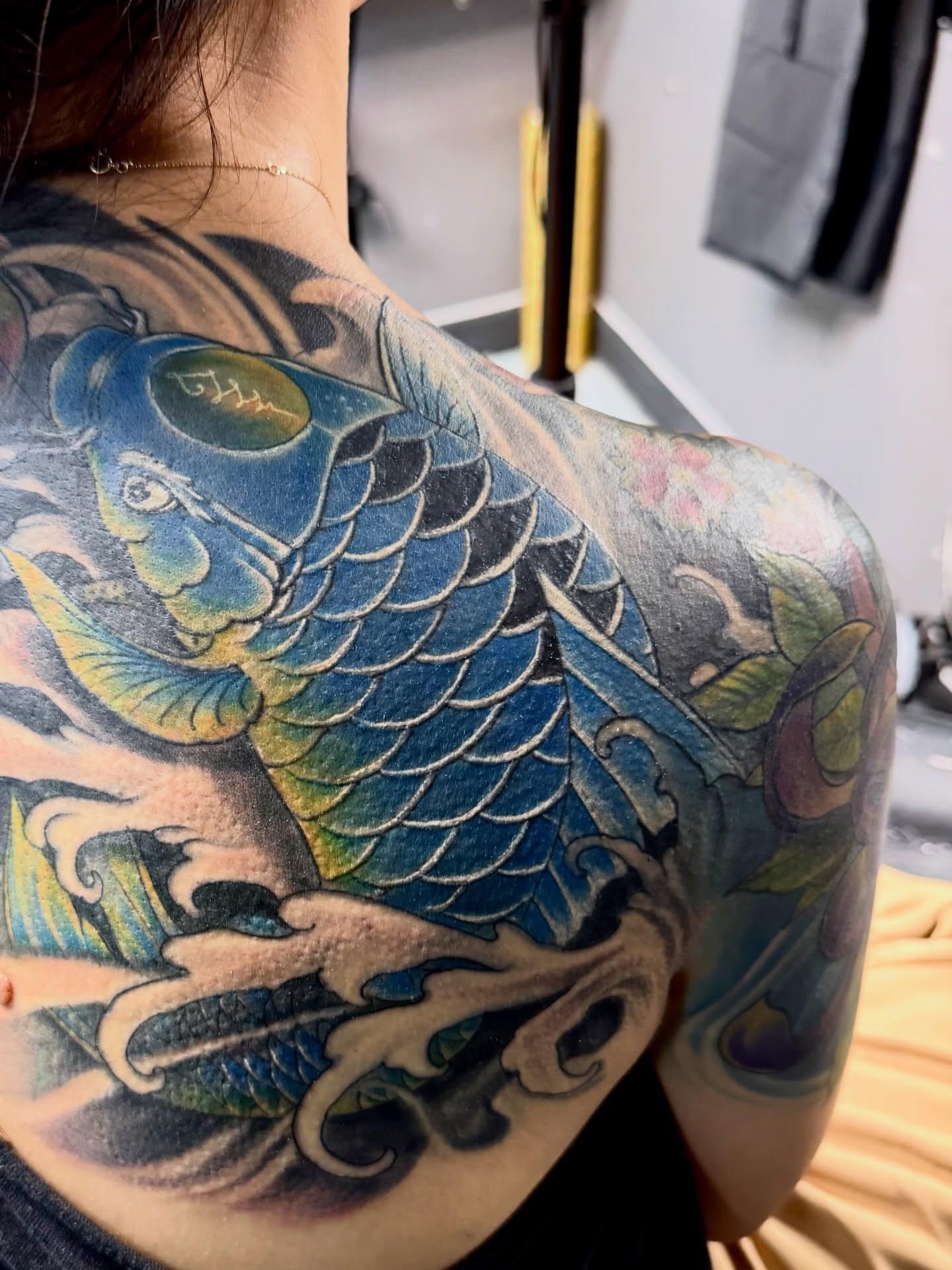 Blue koi colour back and shoulder tattoo